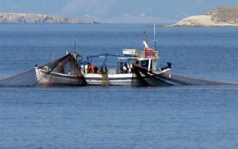 Ρόδος: Αυτό μπορεί να πιάστηκε στα δίκτυα του αλλά εκείνος επέλεξε να μείνει μακριά του – Δείτε το πανέμορφο δηλητηριώδες ψάρι (Βίντεο)